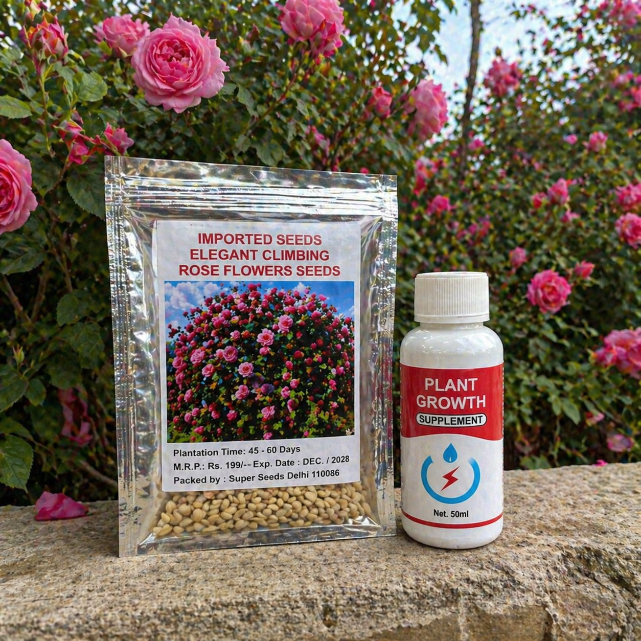 Climbing Rose Flower Seeds