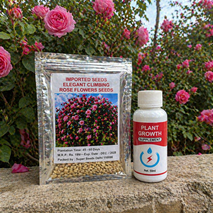 Climbing Rose Flower Seeds